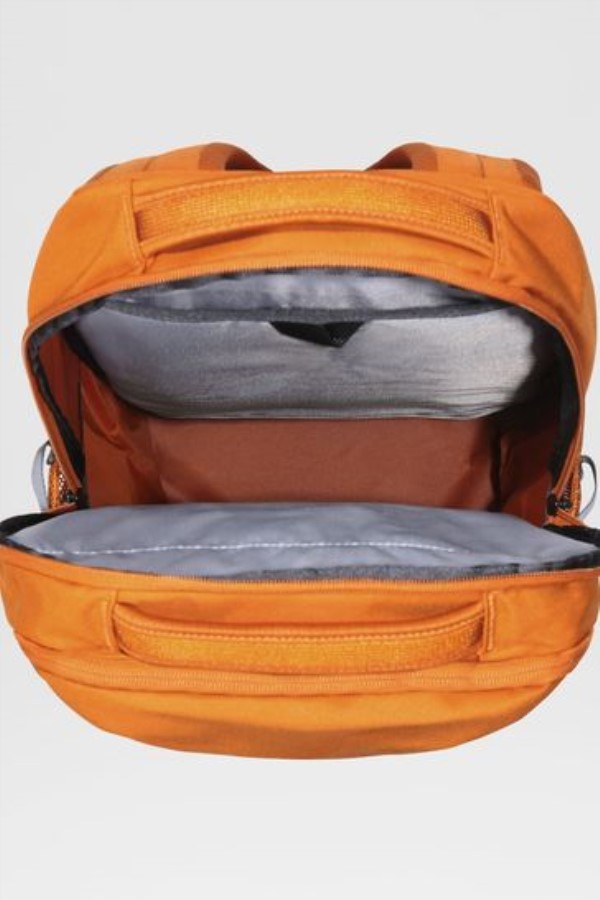 תרמיל חום ליצן החזית הצפונית