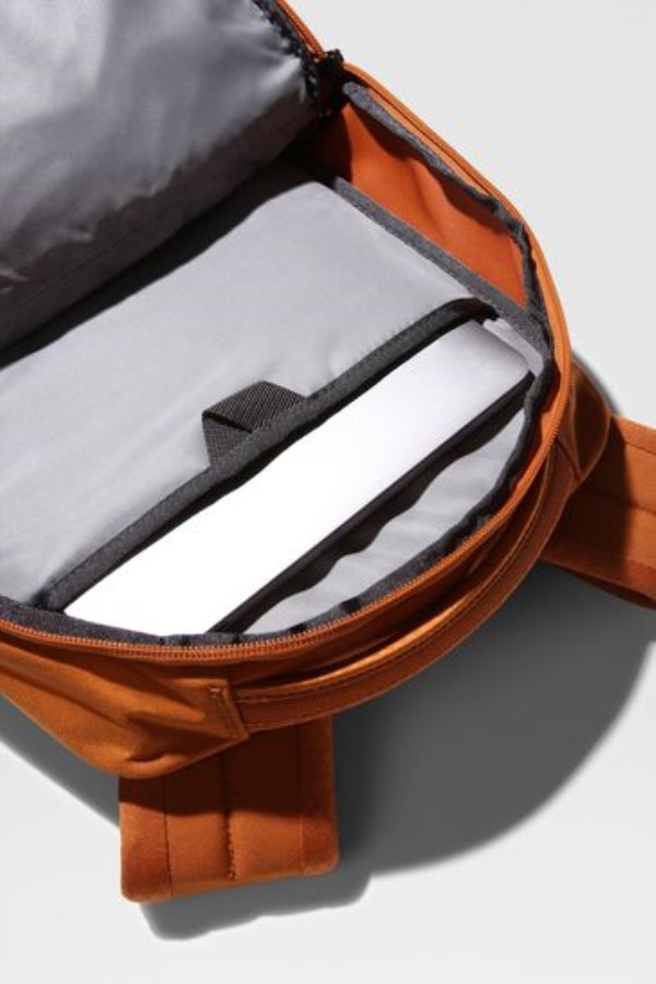 תרמיל חום ליצן החזית הצפונית