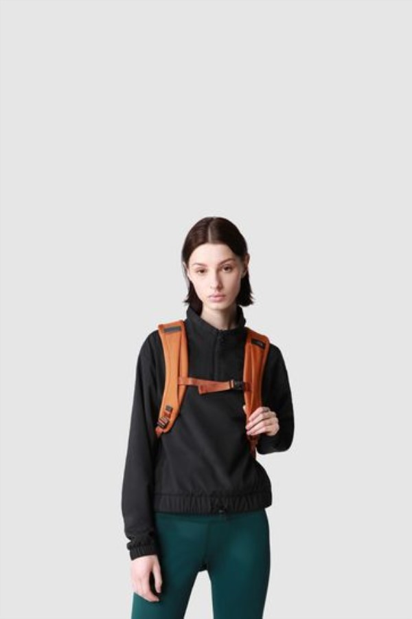 תרמיל חום ליצן החזית הצפונית