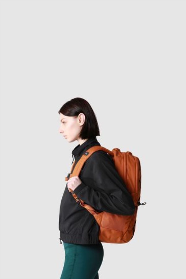 תרמיל חום ליצן החזית הצפונית