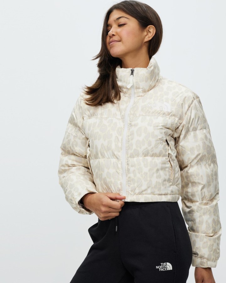 מעיל קצר אפור Nuptse החזית הצפונית