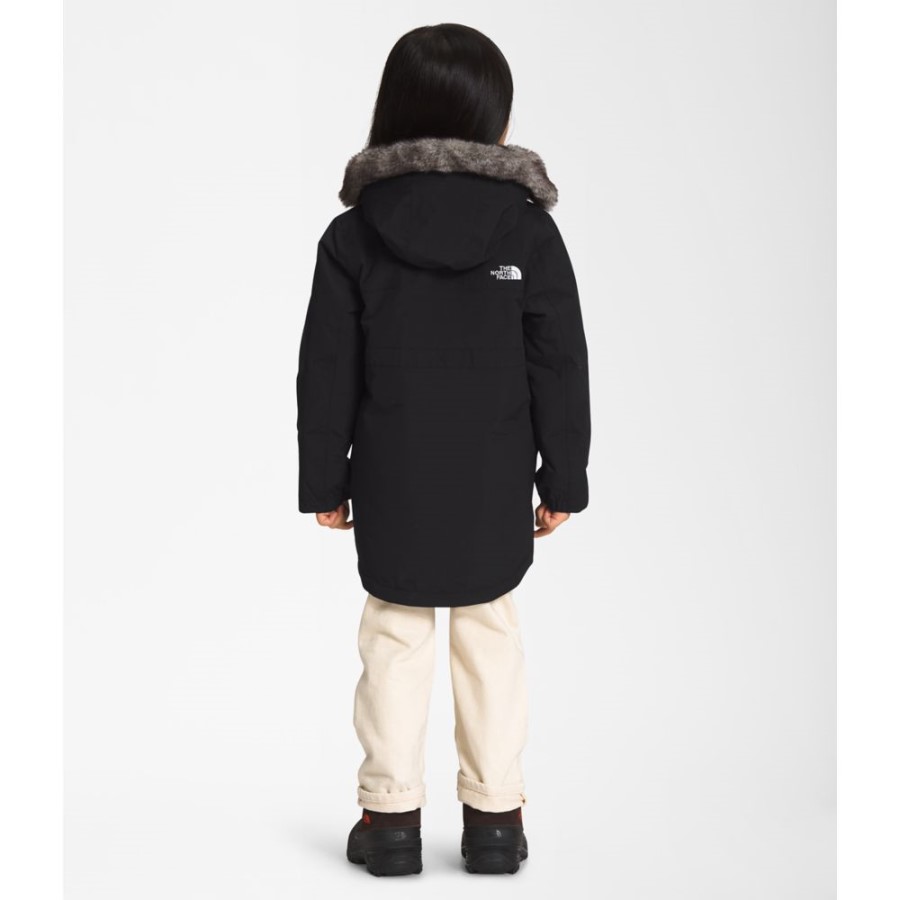 פארק ארקטי לילדים הפנים הצפוני שחור