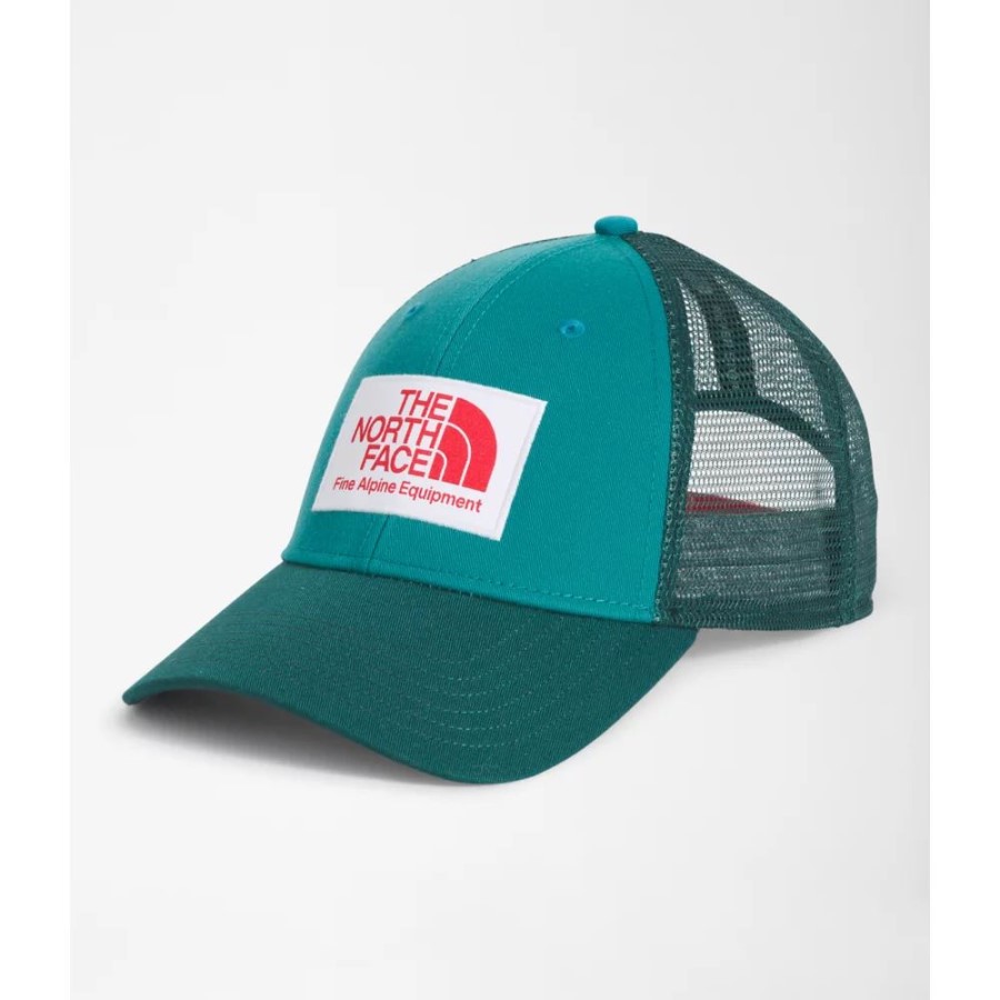 בוץ משאית נמל כחול החזית הצפונית