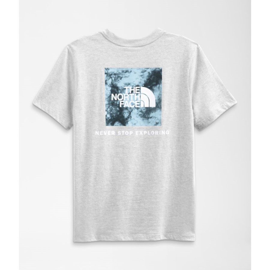 The North Face אפור נשים תיבת שרוולים קצרים Nse טי