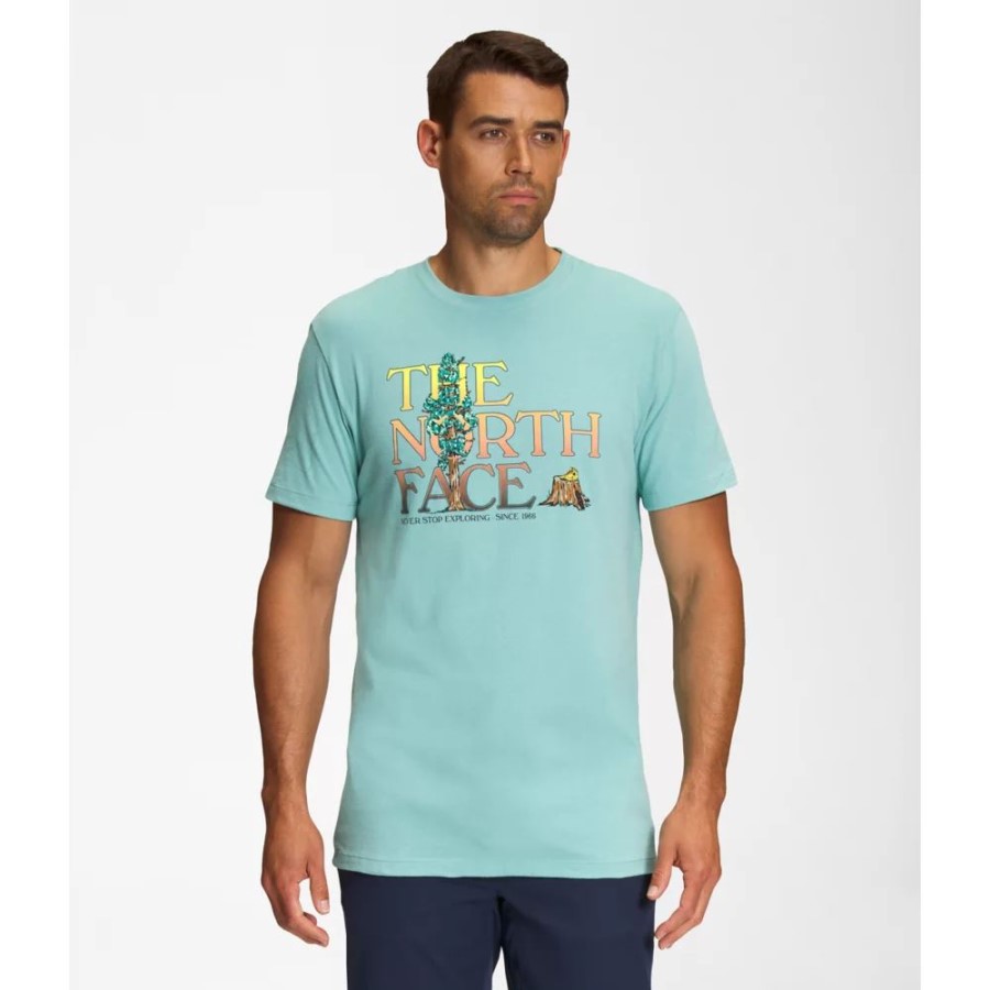 טי הזרקה גרפית עם שרוול קצר לגברים, ווסאבי