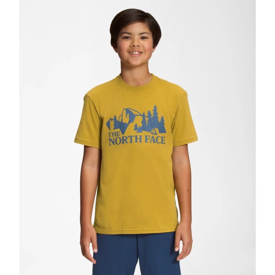 ה-North Face זהב מינרל בנים חולצה גרפית עם שרוולים קצרים