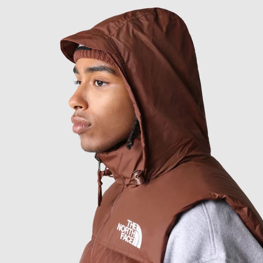 The North Face גברים אלון כהה 1996 רטרו Nuptse Gilet