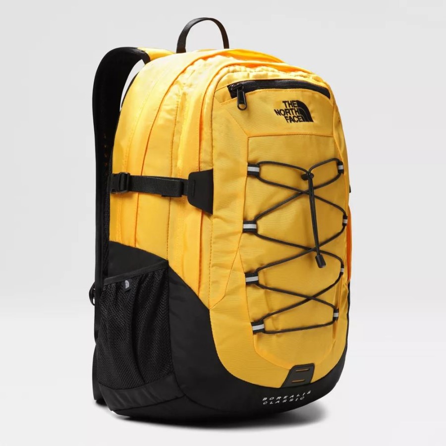 תרמיל גב קלאסי של ה-north Face Summit Gold Borealis