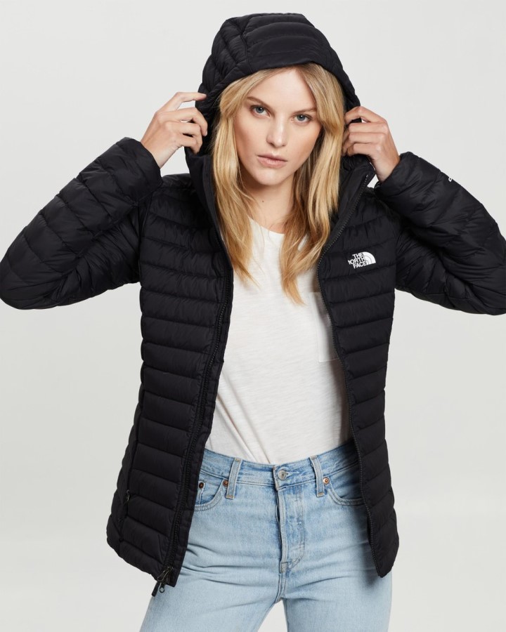 קפוצ\'ון שחור למתוח את הפנים הצפוני