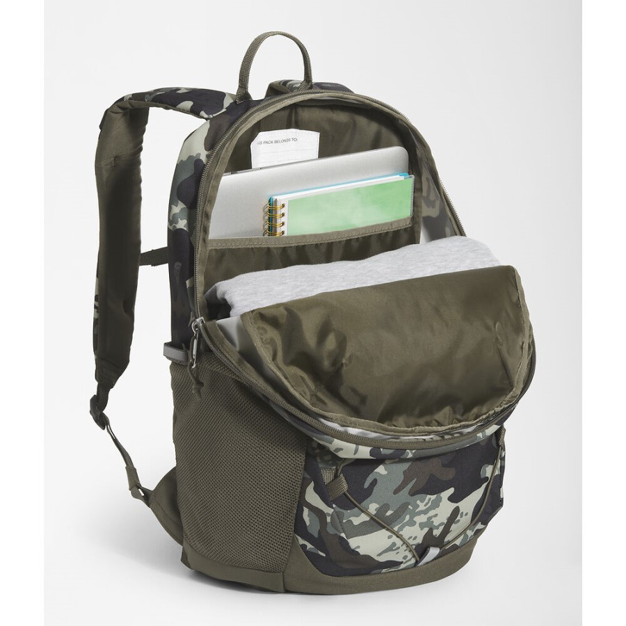 ליצן מגרש הנוער הצפוני בצבע חום ירוק