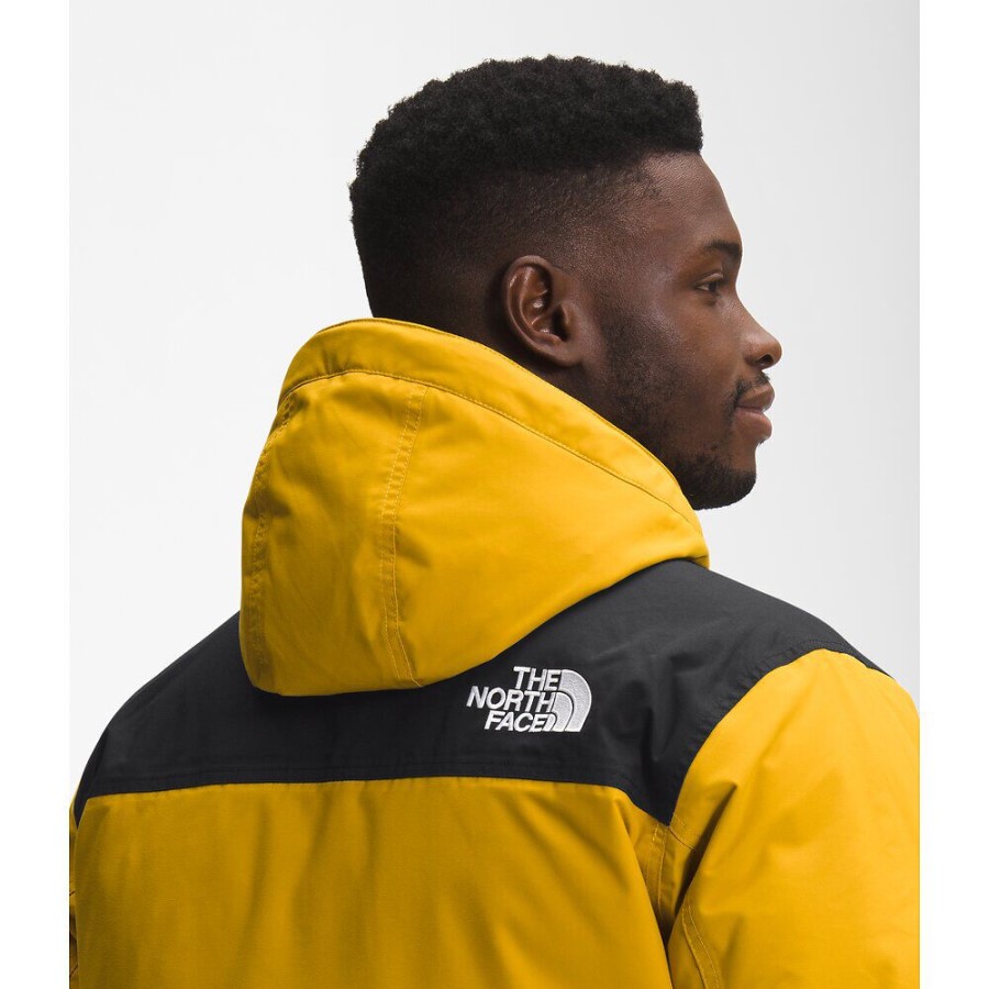 Arrowwood Yellow Men Gotham Jacket Iii The North Face