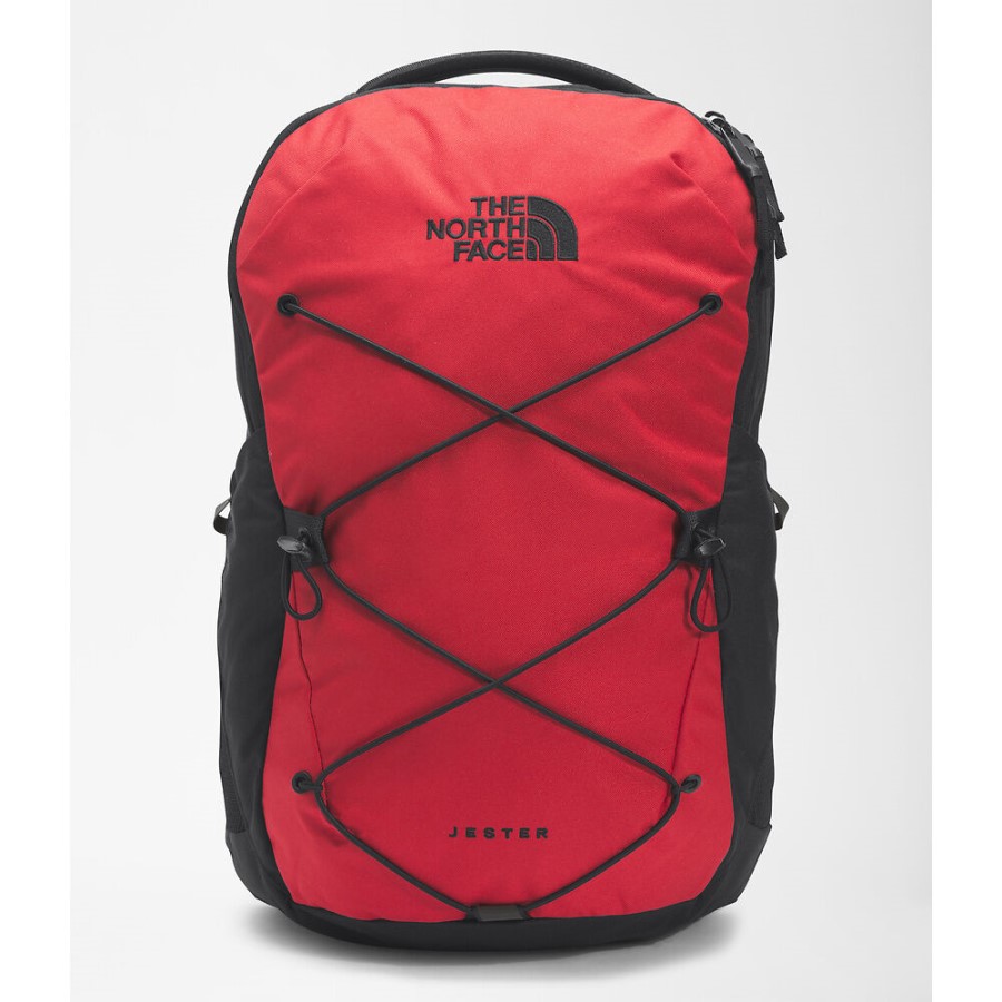 תרמיל ליצן אדום על פני הצפון