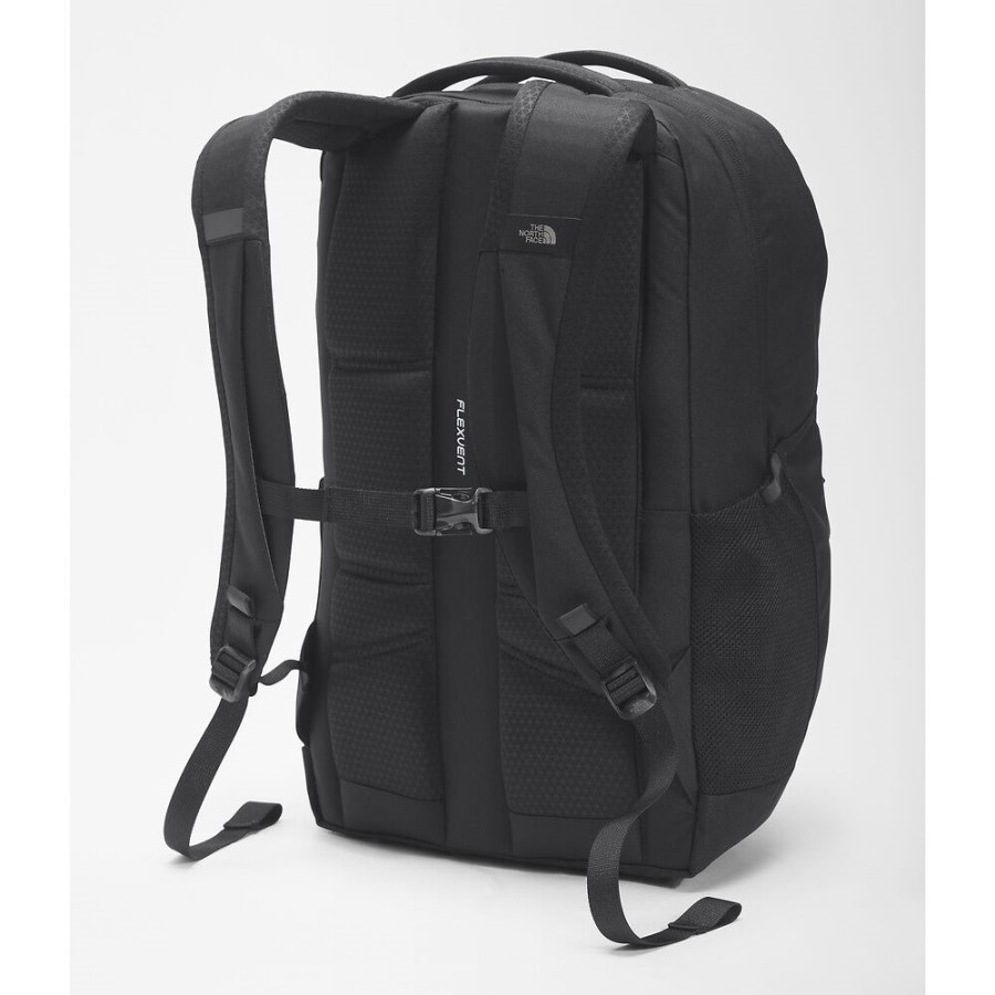 תרמיל ליצן אדום על פני הצפון