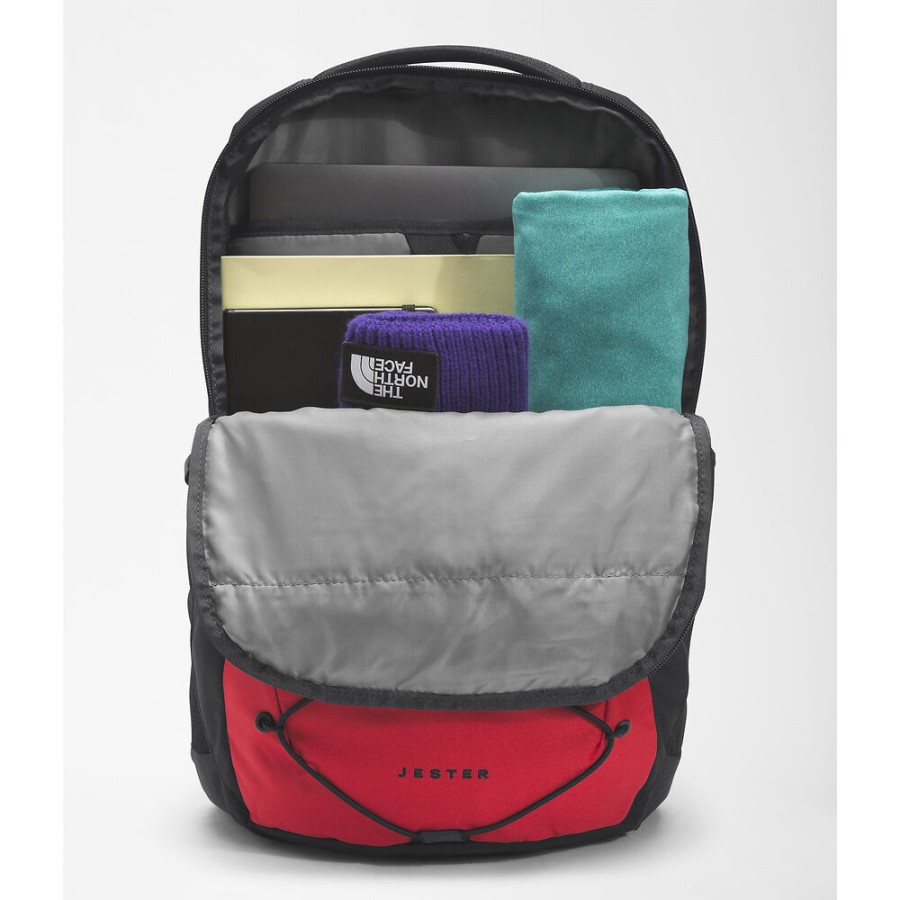 תרמיל ליצן אדום על פני הצפון