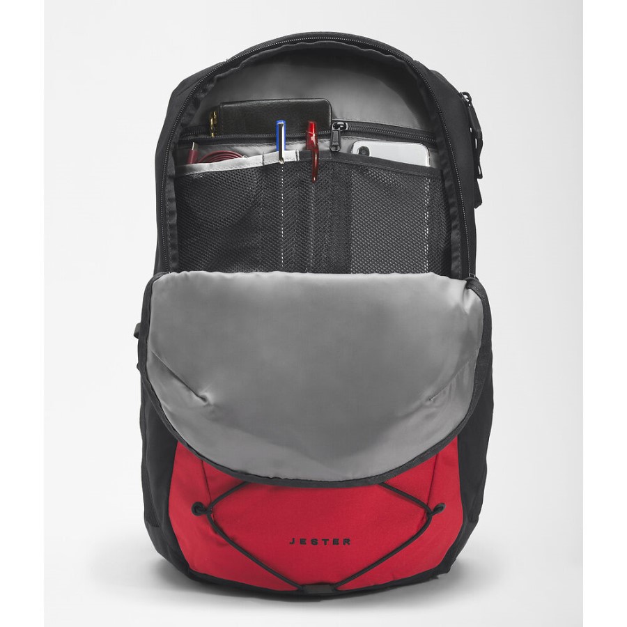 תרמיל ליצן אדום על פני הצפון