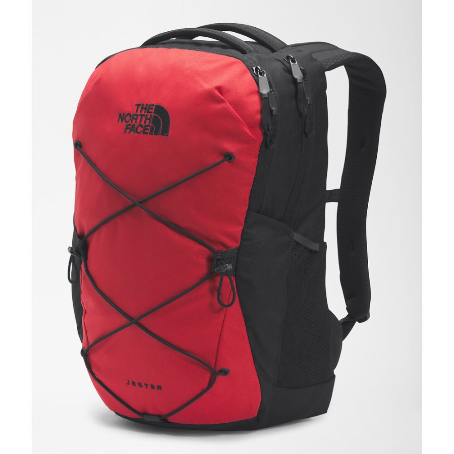 תרמיל ליצן אדום על פני הצפון