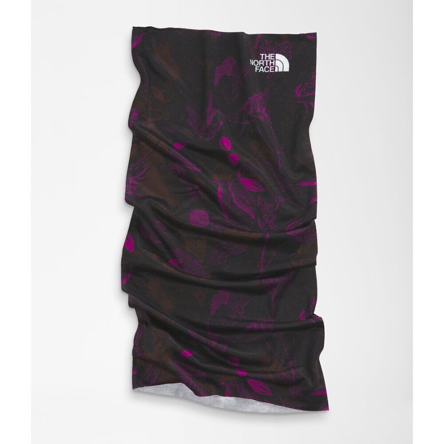 Roxbury Pink Dipsea מכסה אותו בחזית הצפונית